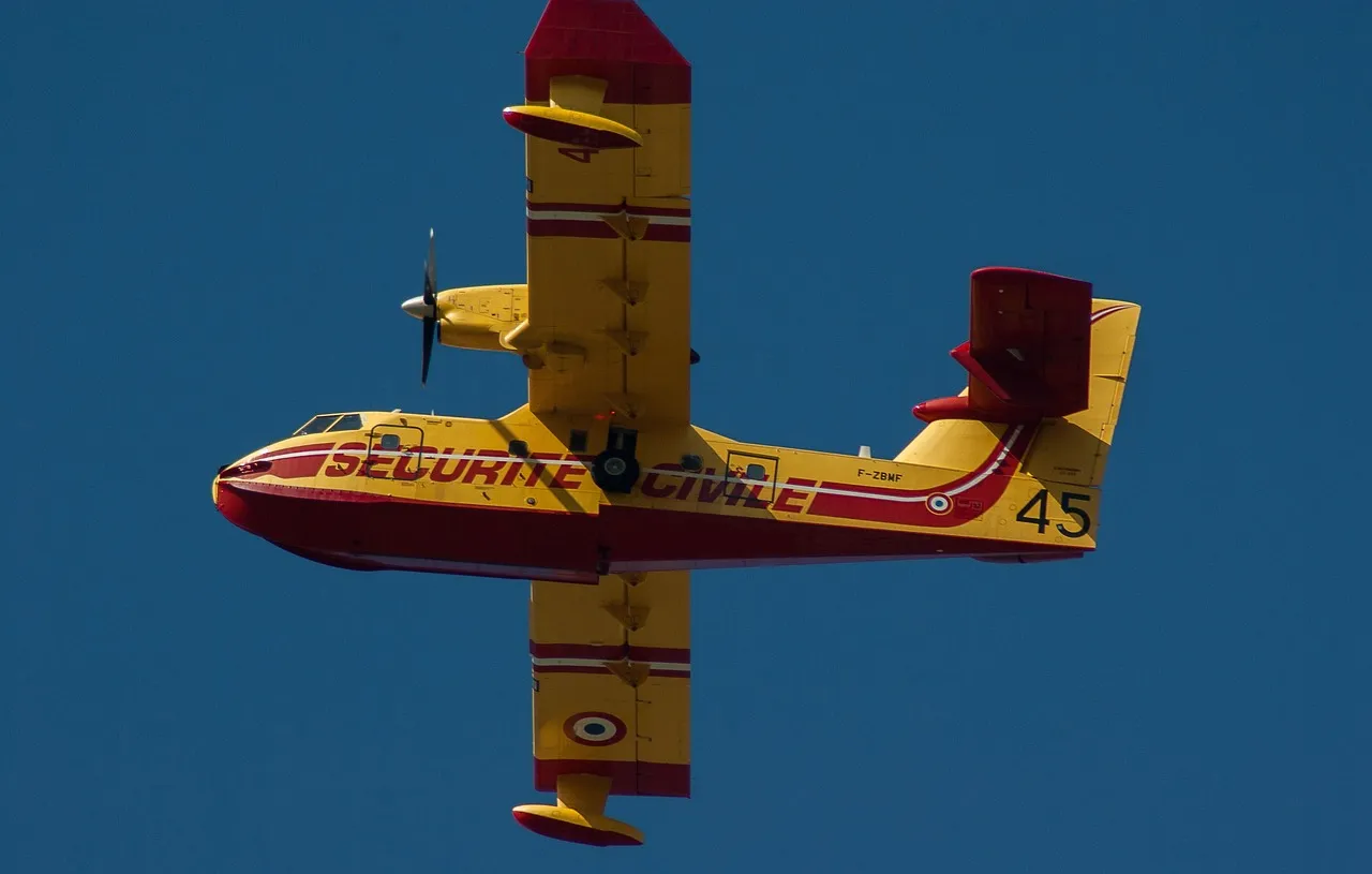 Feux de forêt : seulement 8 Canadair opérationnels sur 12 depuis début juillet, selon Le Monde