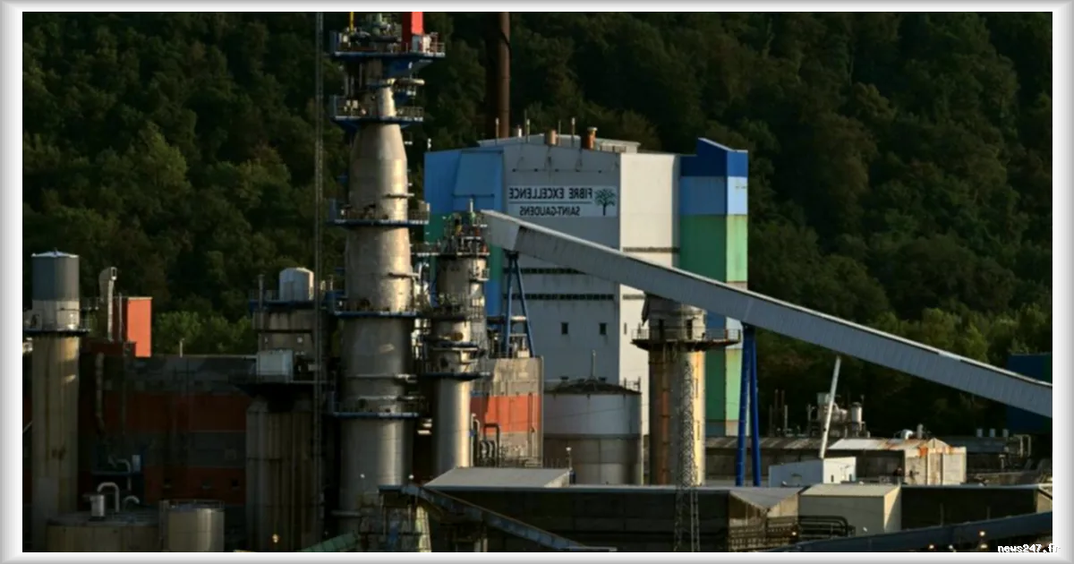 Fibre Excellence : l’usine de Saint-Gaudens obtient un sursis jusqu’au 24 août avant une décision définitive