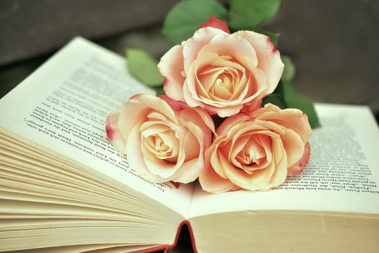 Filles maudites : Oyinkan Braithwaite entre mythes et malédictions