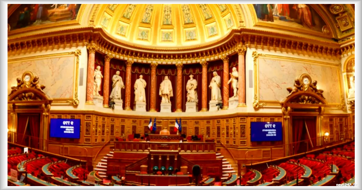 Fin de vie : le Sénat renonce à un dernier combat législatif avant le vote final