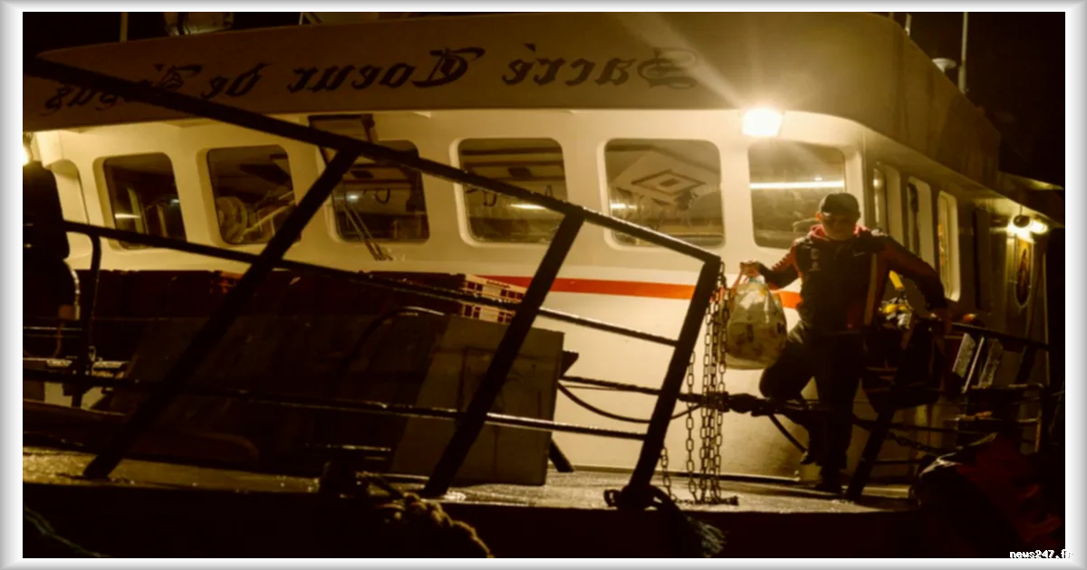 Flambée du prix du carburant à Boulogne-sur-Mer : les pêcheurs contraints de rester à quai