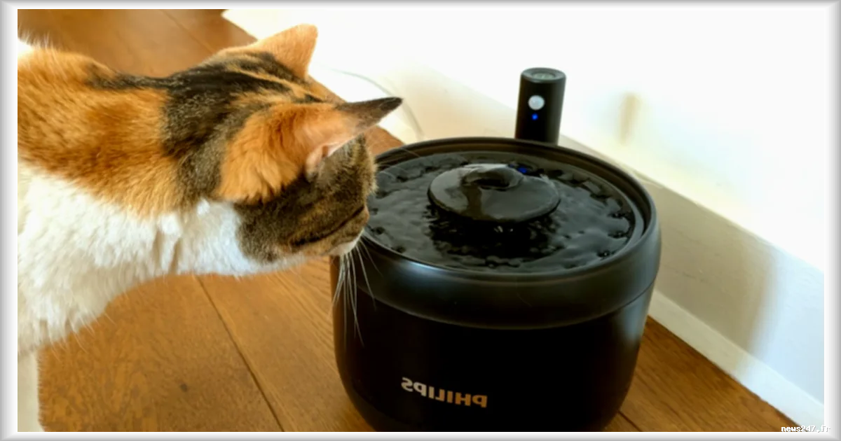 Fontaine à eau intelligente Philips pour chats : une offre promotionnelle sous la barre des 34 € sur Amazon