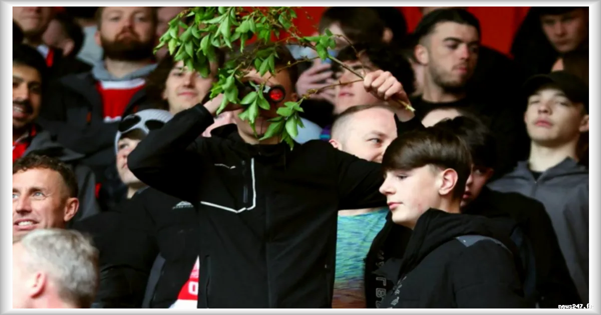Football anglais : le Southampton FC exclu des barrages de la Premier League après un scandale d'espionnage