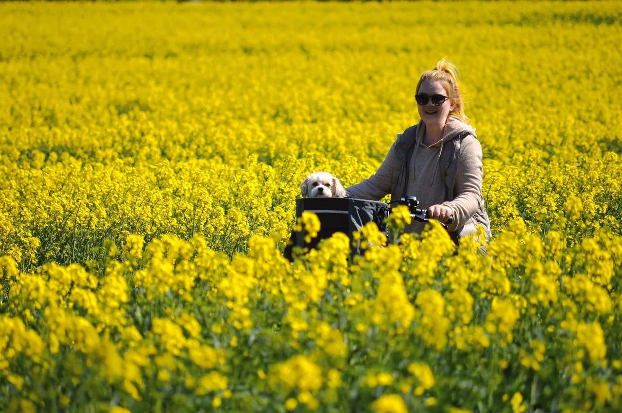 Formule 1 : en piste pour les premiers tours de roues officiels à Bahrein