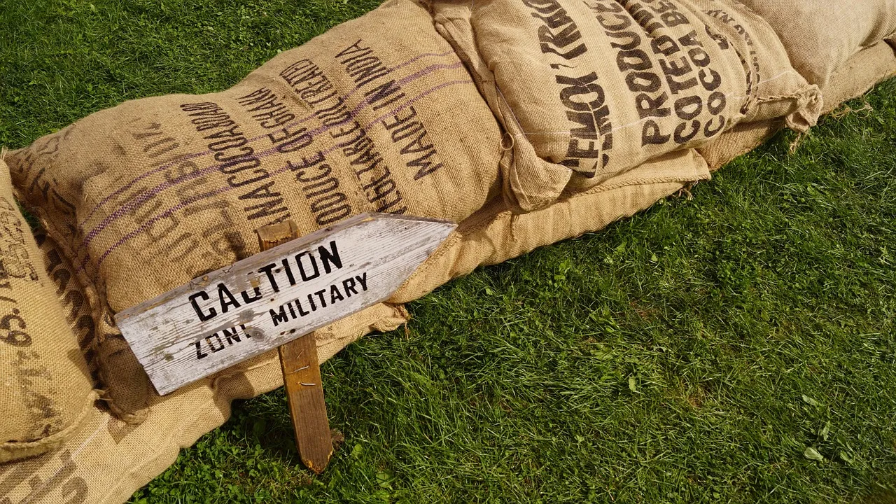 Forum Paris Defense and Security : l'Europe se rapproche davantage de la guerre que de la paix