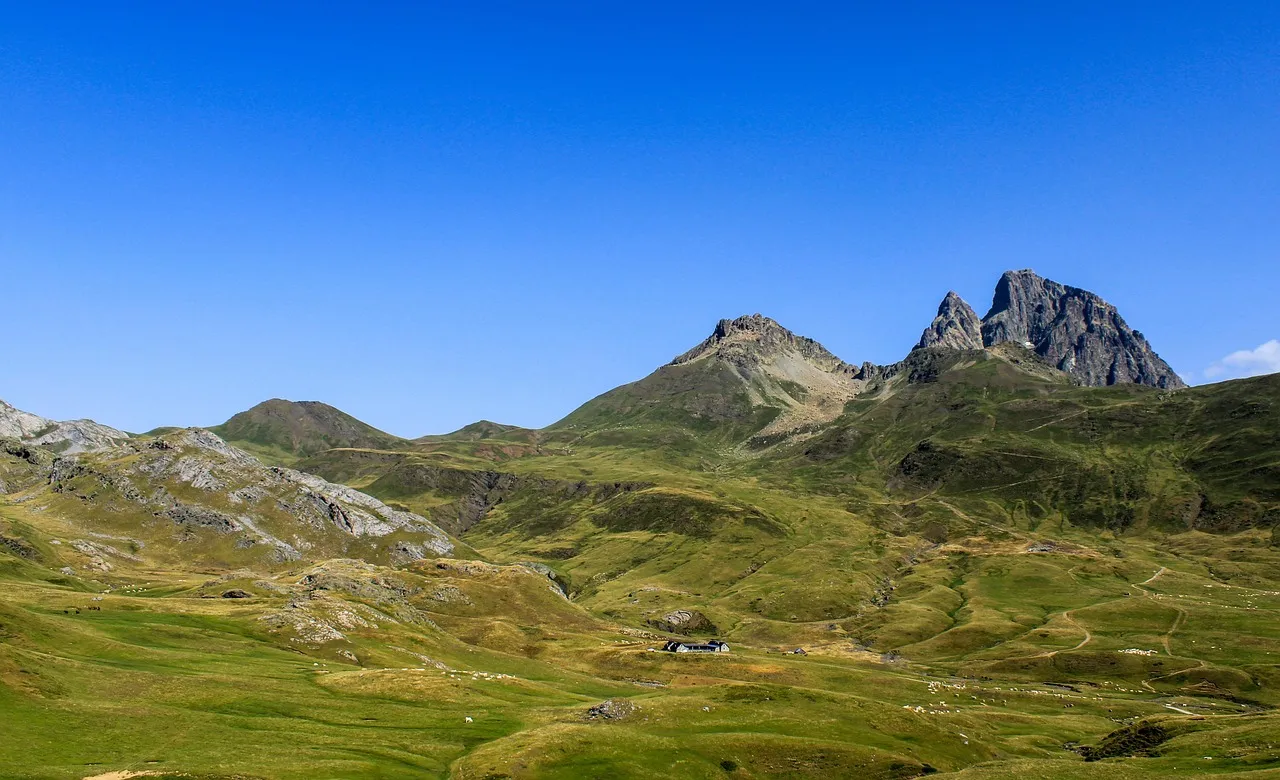 FoxBio révolutionne la French Tech en luttant contre les maladies inflammatoires