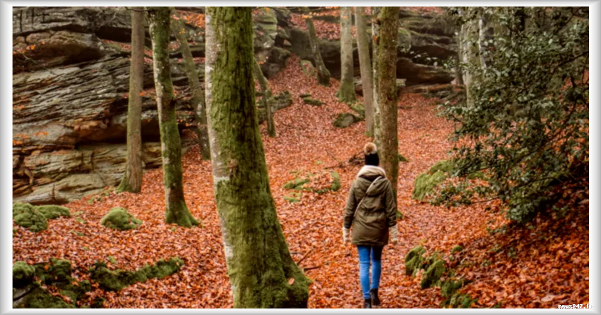 France Travail finance des formations sur les êtres de la nature: gnomes et elfes au programme
