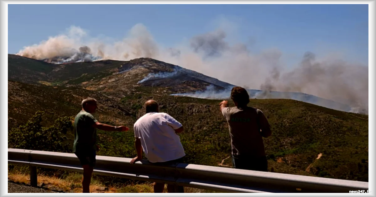 Fumée des incendies en Europe du Sud : l’OMS alerte sur une urgence sanitaire persistante