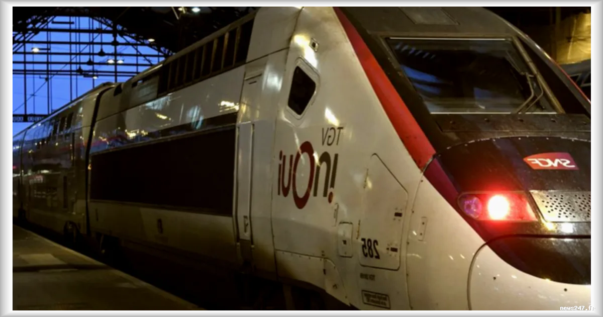 Gare de Lyon : un chat meurt décapité par un train SNCF malgré les recherches des agents