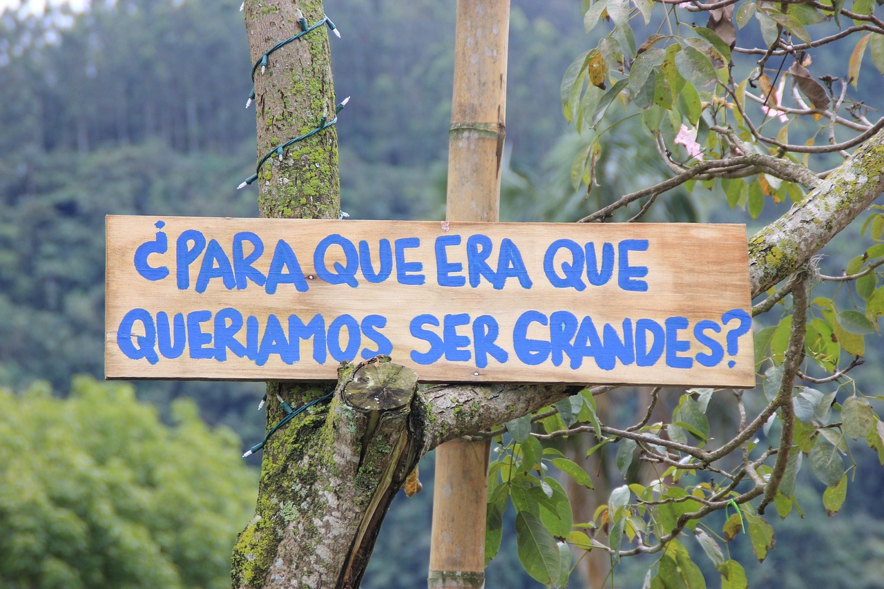 Pourquoi des millions fuient les banques : la tentation Tether