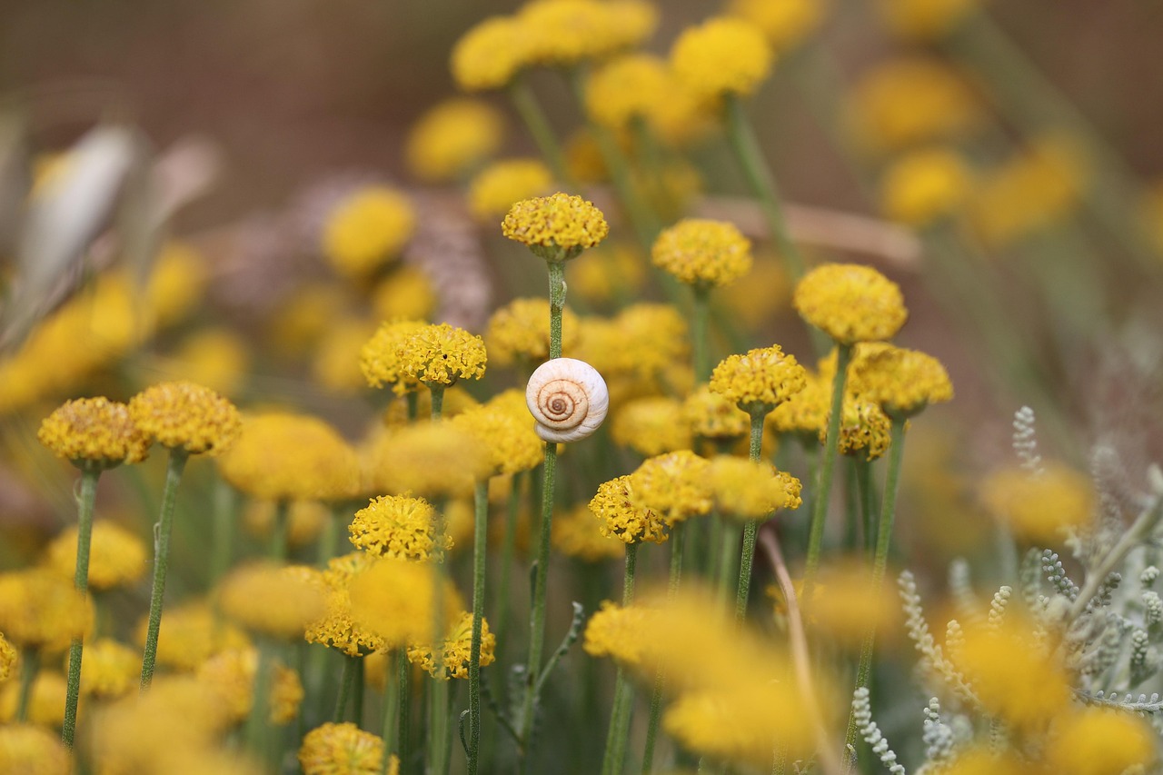 Béhémoth, l'étoile immortelle : et si on avait tout faux depuis le début ?