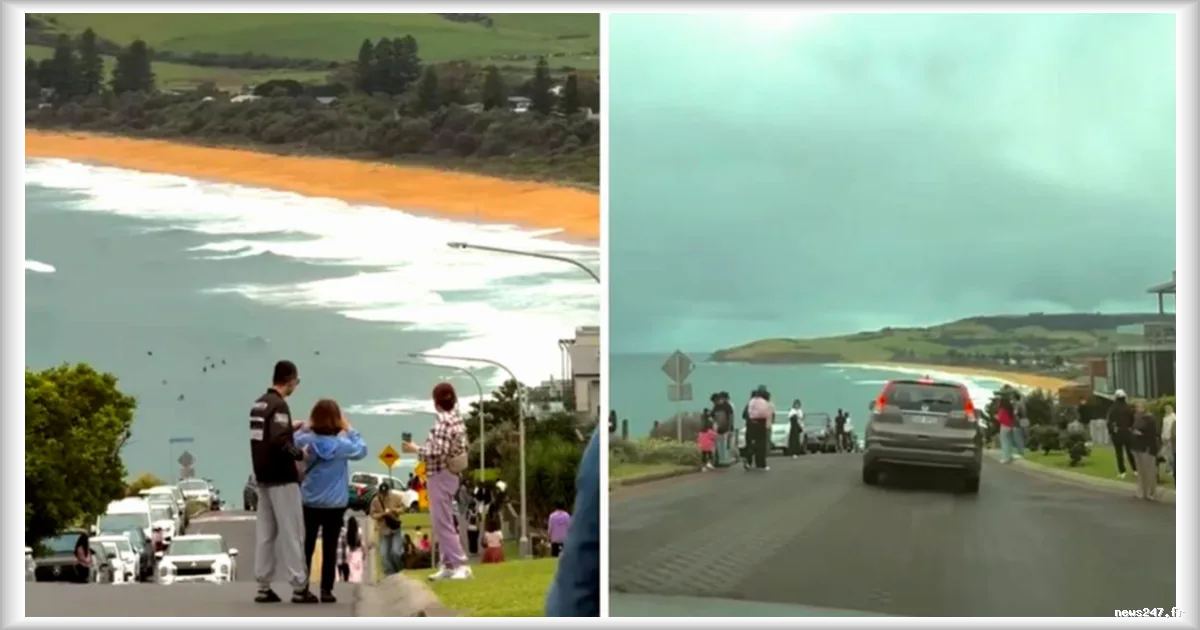 Gerringong, Australie : Un village submergé par son succès sur TikTok