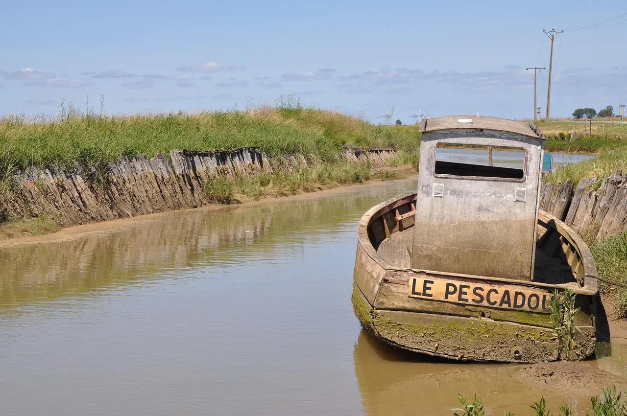 Gironde : la préfecture valide le projet controversé de ferme-usine à saumons Pure Salmon sous conditions strictes