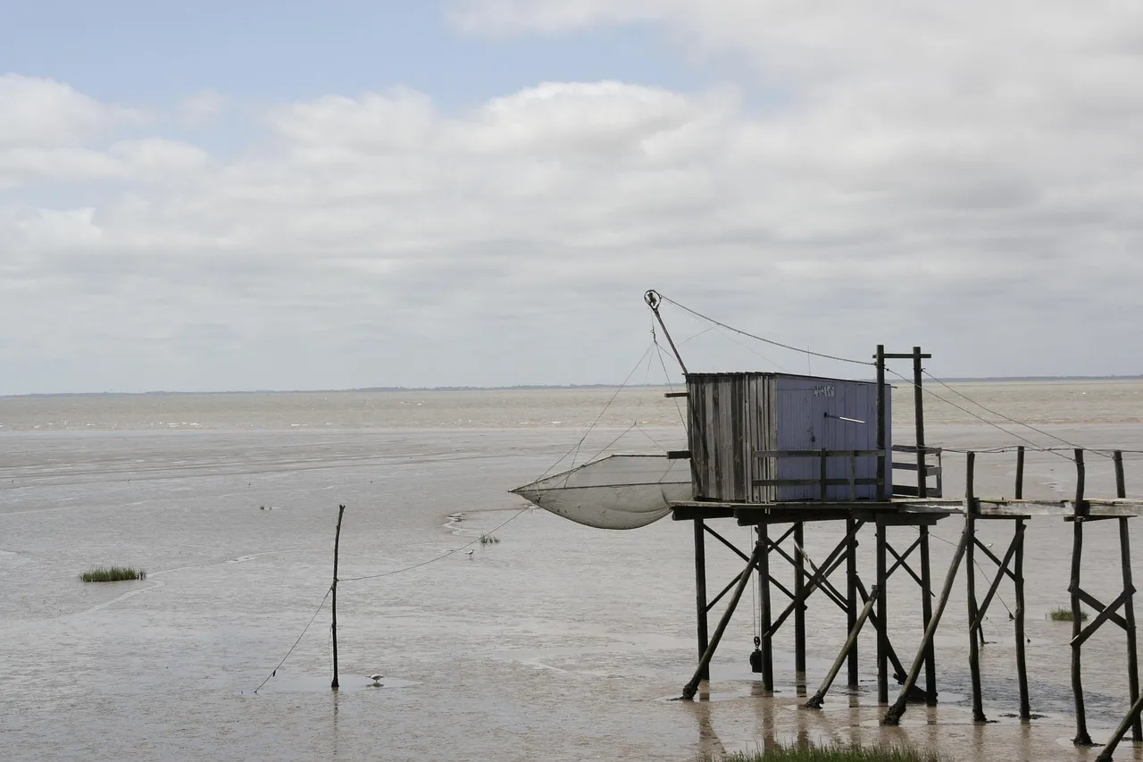 Gironde : les entreprises locales craignent une saison estivale compromise par les incendies