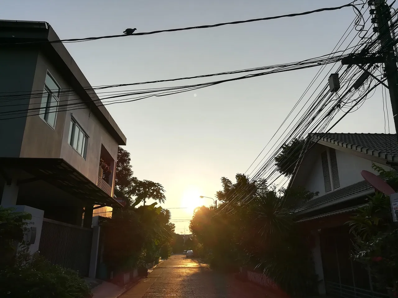 Good Morning Market : analyse économique et financière avec des experts du secteur