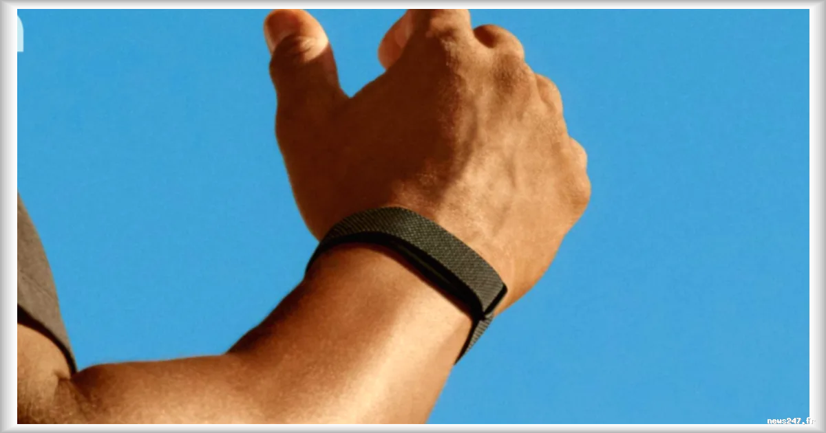 Google Fitbit Air, Whoop ou Apple Watch : quel est le meilleur pour suivre sa santé ?