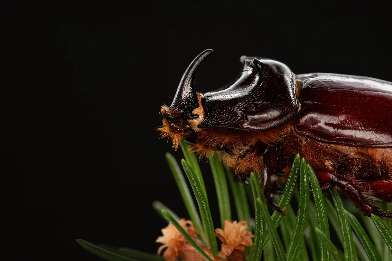 Google Traduction se transforme en chatbot : le bug qui fait parler les utilisateurs