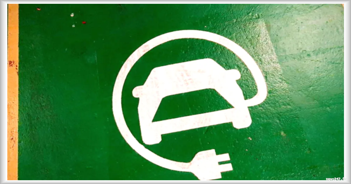 Grandes enseignes : la ruée vers les bornes de recharge électrique