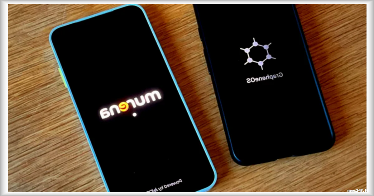 GrapheneOS et /e/OS : les alternatives à Android pour protéger vos données personnelles