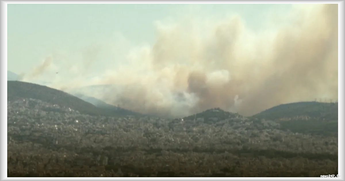 Grèce : nouveaux incendies aux portes d'Athènes, des quartiers évacués sous la menace des flammes