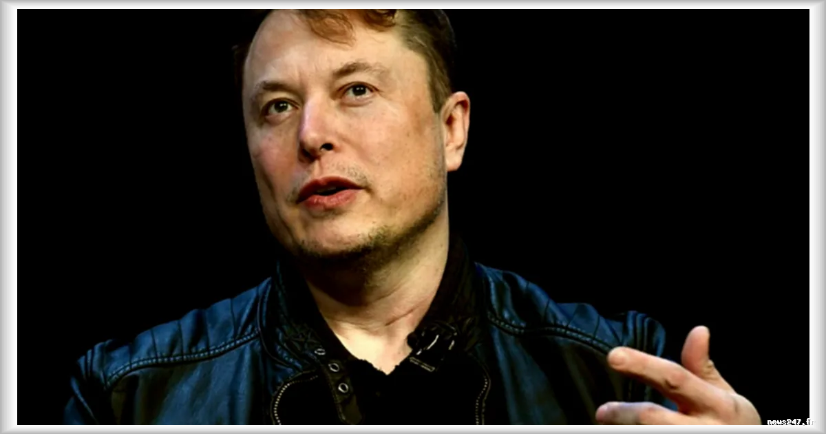 Grokipedia, l'encyclopédie d'Elon Musk, accuse de biais de droite sur les sujets sensibles