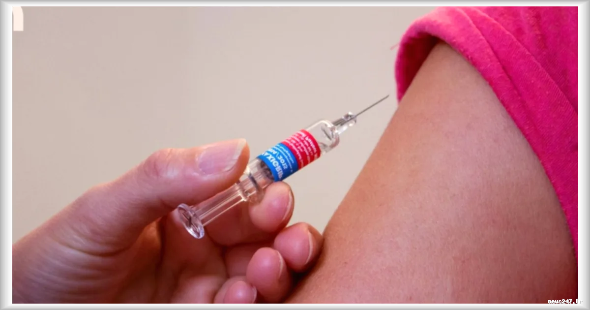Hantavirus : quels traitements et vaccins disponibles face à l’épidémie en hausse ?