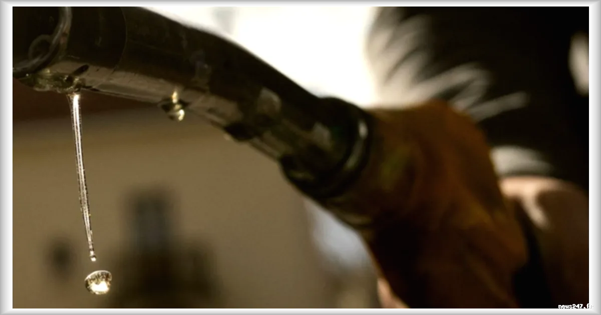 Hausse des prix du carburant : les hébergements touristiques offrent des cartes-cadeaux pour attirer les vacanciers