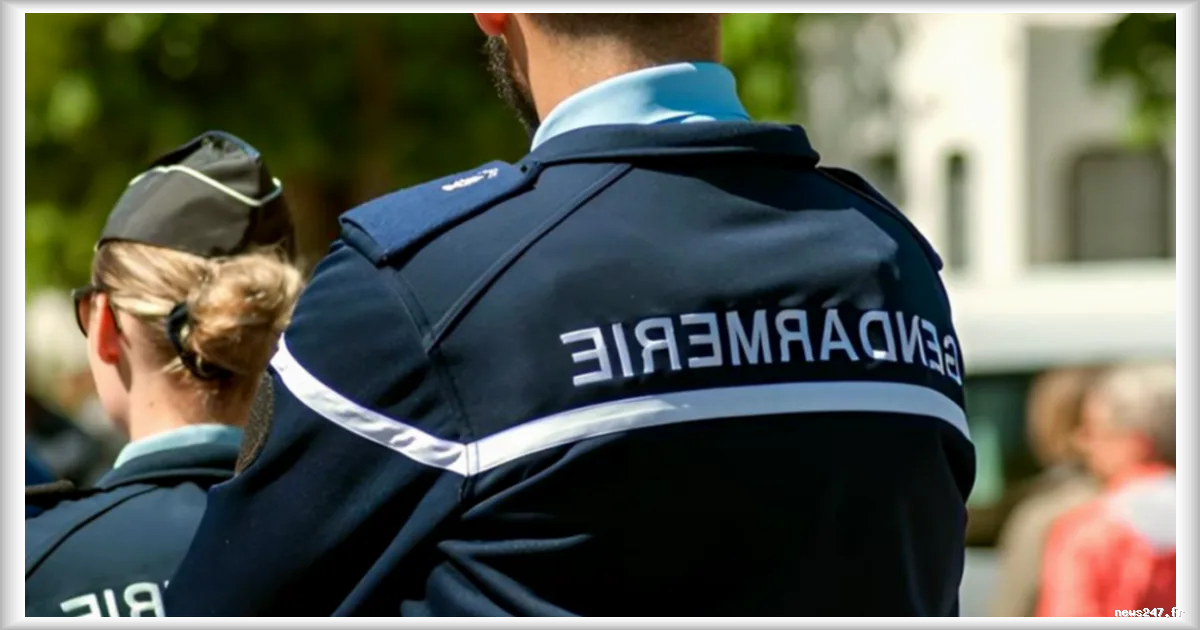 Hérault : un homme abattu par des gendarmes après avoir braqué une épicerie
