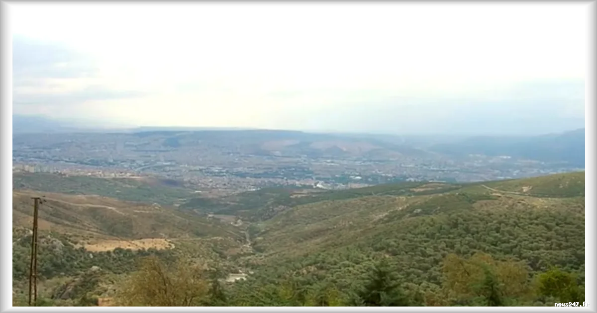 Homère aurait-il écrit l'Odyssée dans une grotte près d'Izmir ? Le débat relancé par le film de Nolan