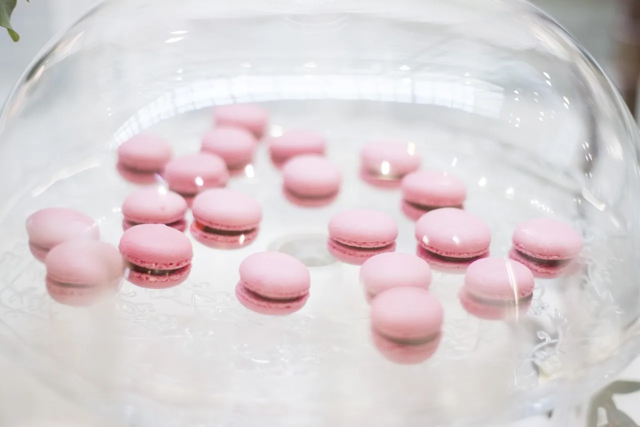 Hommage à Ilan Halimi : Macron annonce des mesures contre l'antisémitisme