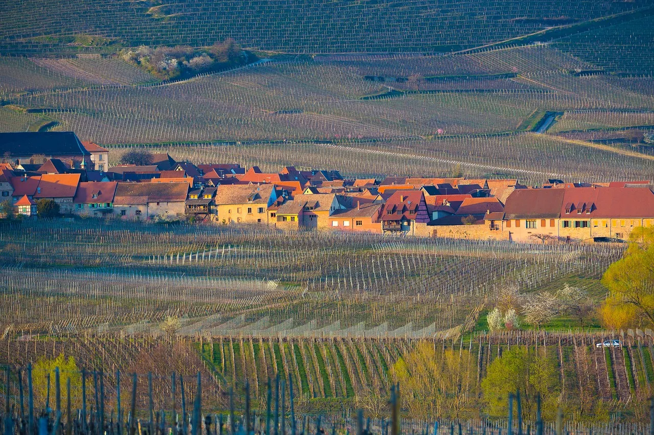 Hurlevent : une adaptation cinématographique des Hauts de Hurlevent pour la Saint-Valentin