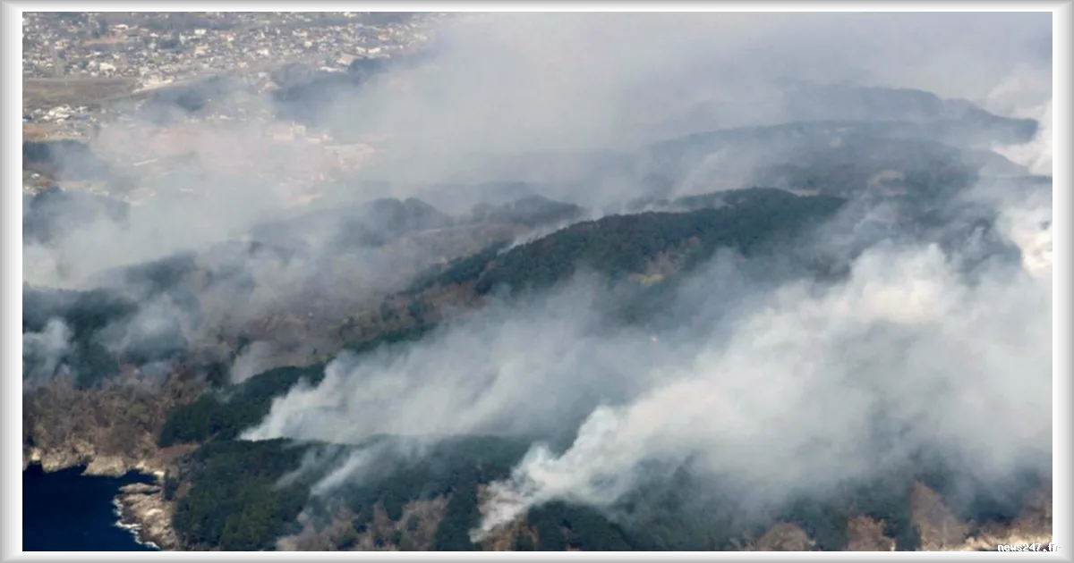 Importants feux de forêt ravageant la région montagneuse d'Iwate au Japon