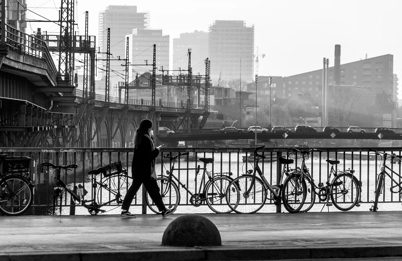 Inauguration du pont de Kruunuvuorensilta à Helsinki, l'un des plus longs ponts piétons au monde