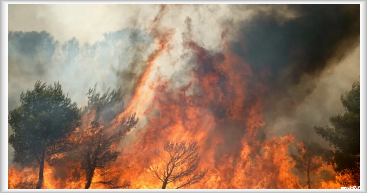 Incendie à Athènes : un maire en détention provisoire