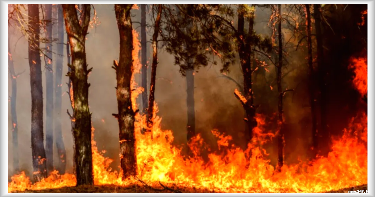 Incendie dans le Var : des évacuations près de Draguignan