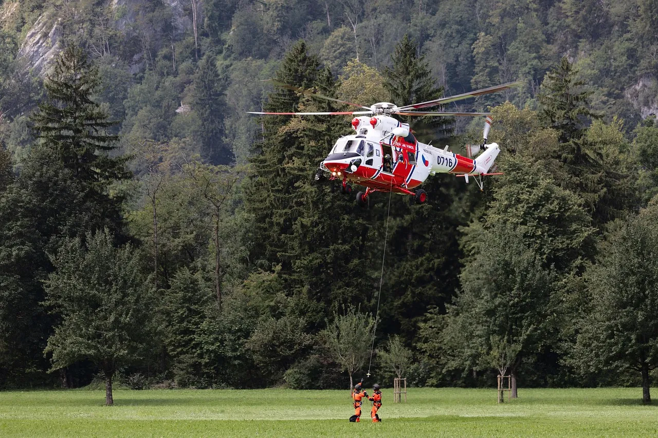 Incendie de la forêt de Fontainebleau : les grimpeurs sous le choc après la perte de leur terrain d’entraînement