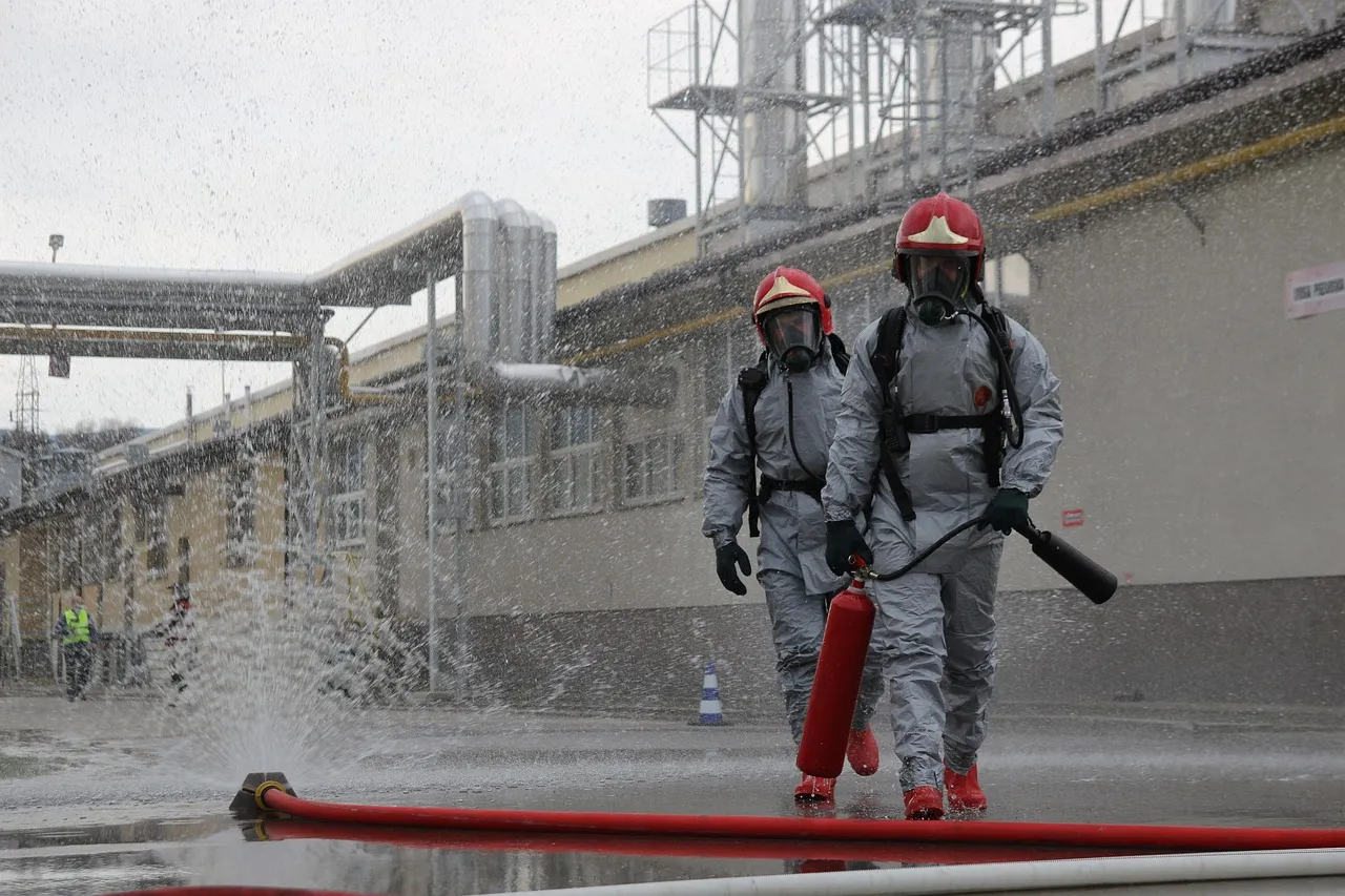 Incendie en Corse : deux blessés dans un nouvel incendie d'une paillote