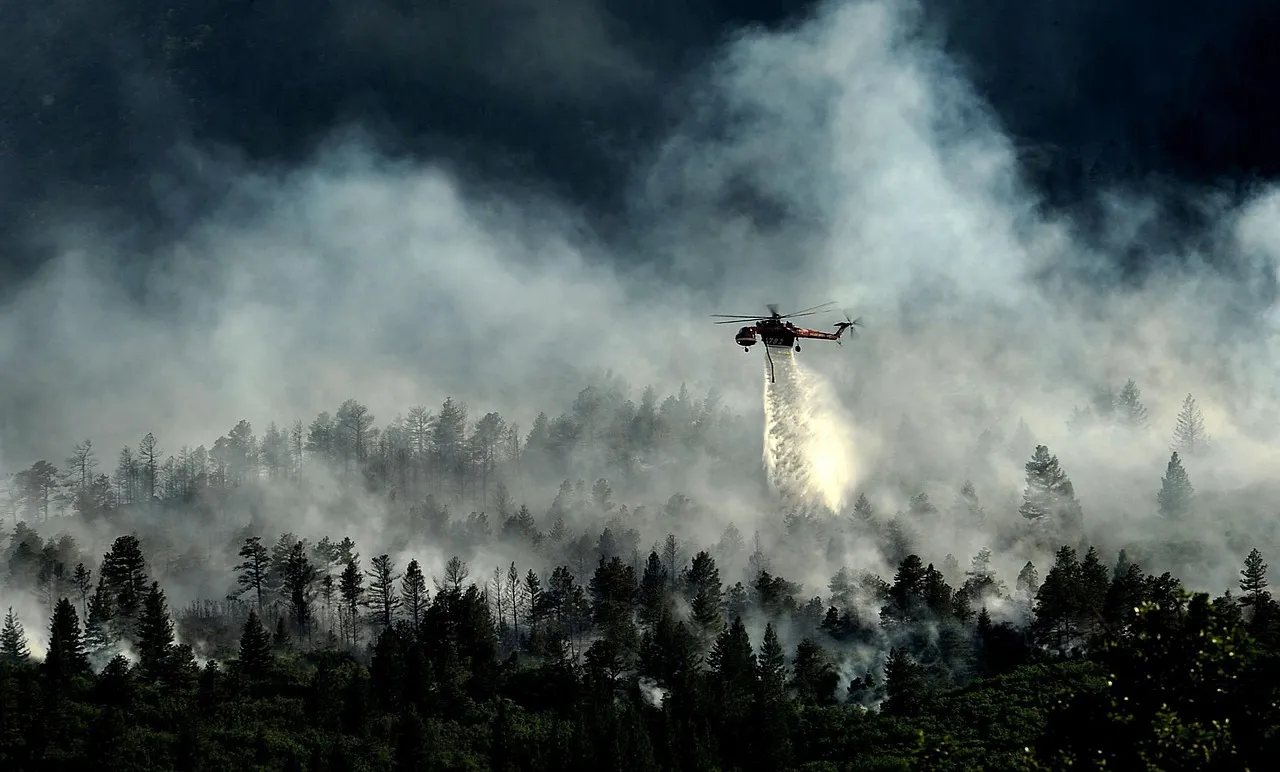 Incendie en Gironde : les pompiers et bénévoles réussissent à stopper la progression des flammes