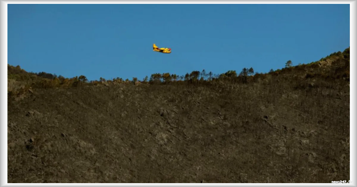 Incendie en Toscane : 3 500 personnes évacuées et 800 hectares ravagés