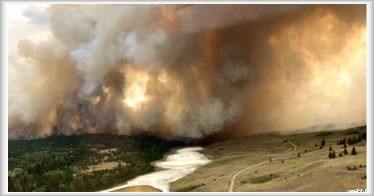 Incendies au Canada : le changement climatique a doublé leur probabilité cette année
