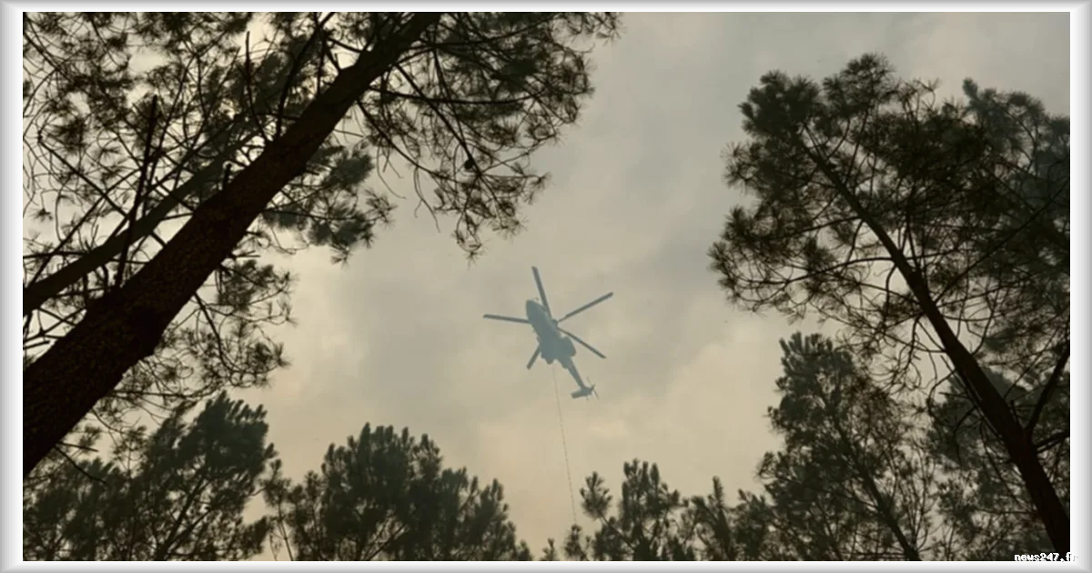 Incendies dans le Var : 2 500 personnes évacuées, 1 000 hectares dévorés par les flammes en six heures