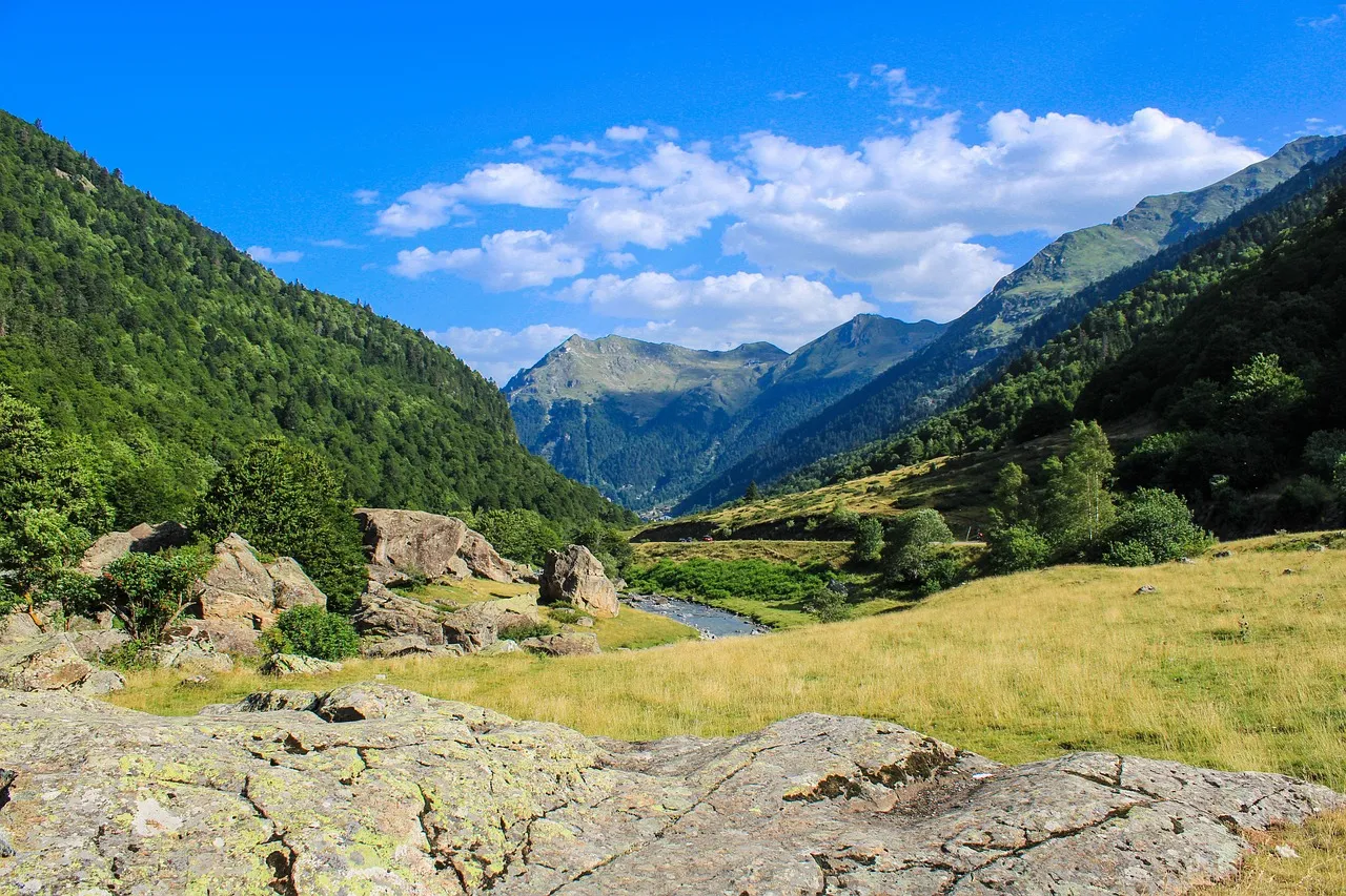 Incendies dans les Pyrénées-Orientales : des jardins familiaux menacés par une « ceinture de protection » controversée