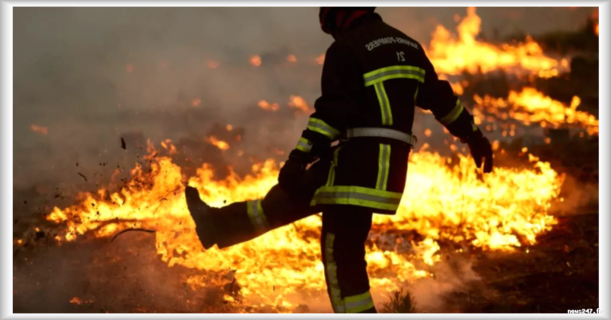 Incendies en Europe : le changement climatique ne doit pas servir d’excuse à l’inaction des États