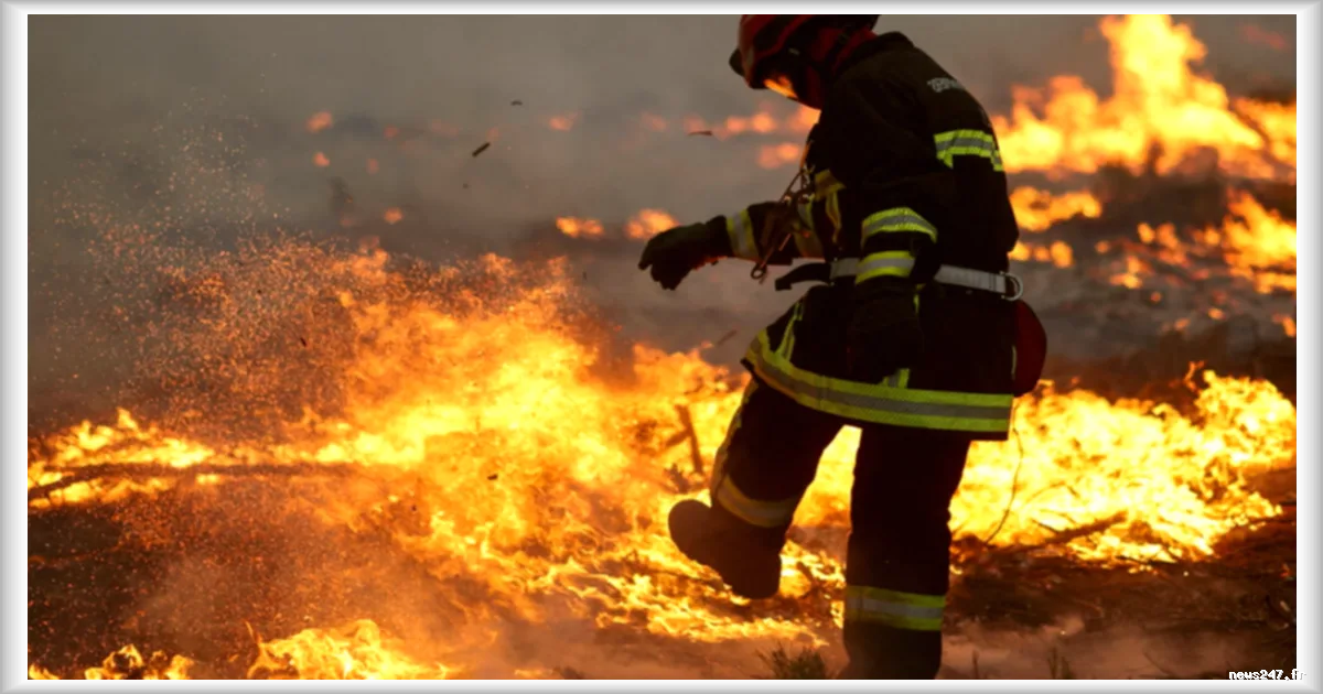 Incendies en Gironde : les prochaines heures pourraient être difficiles, selon Sébastien Lecornu