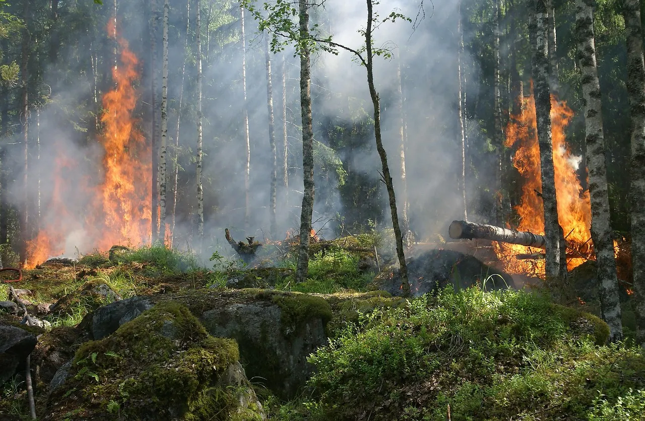 Incendies et inondations : Noël Mamère appelle à un sursaut pour la présidentielle