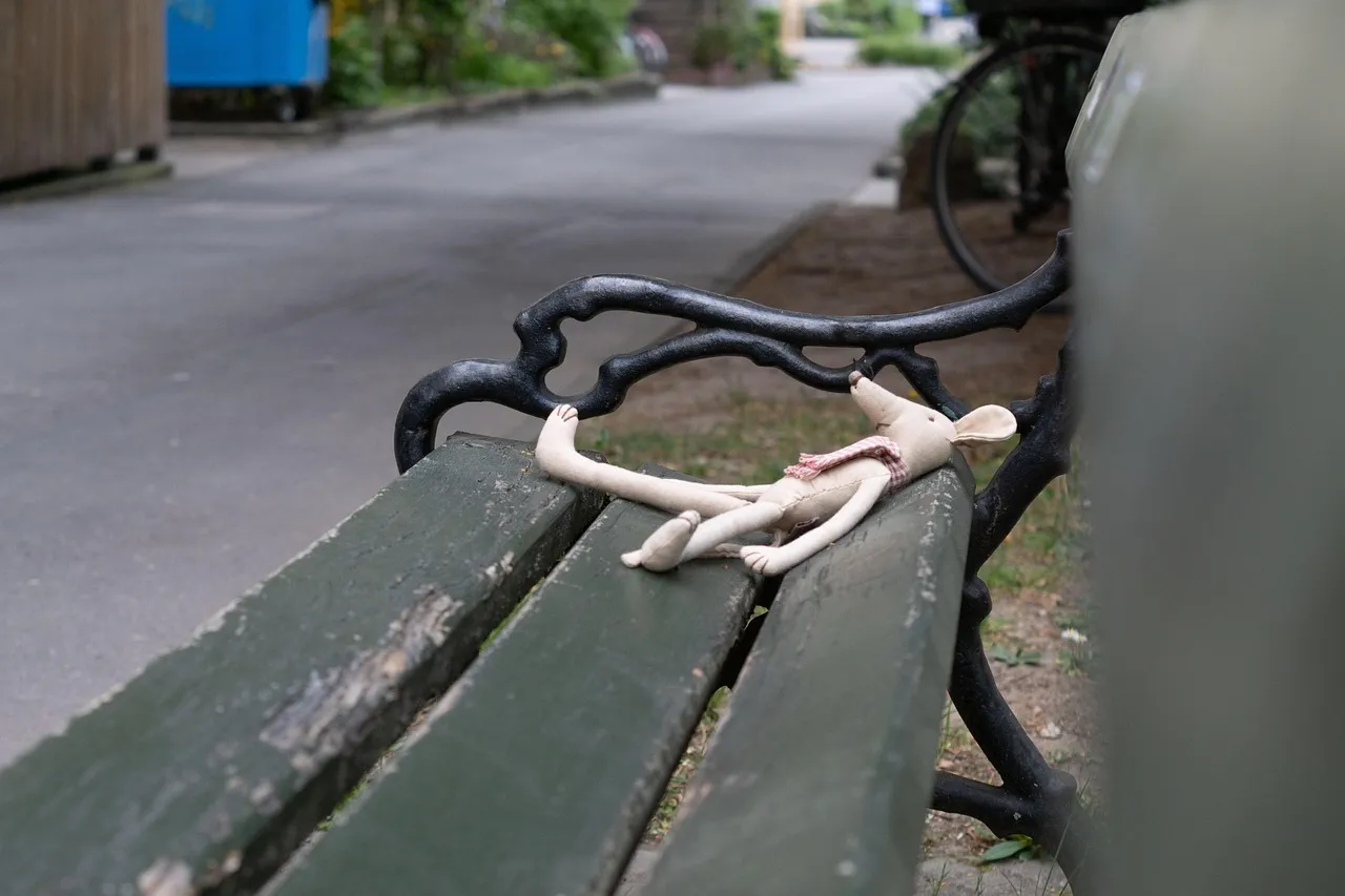 Incident à l'Assemblée nationale turque : des députés s'affrontent lors de la prestation de serment du ministre de la Justice