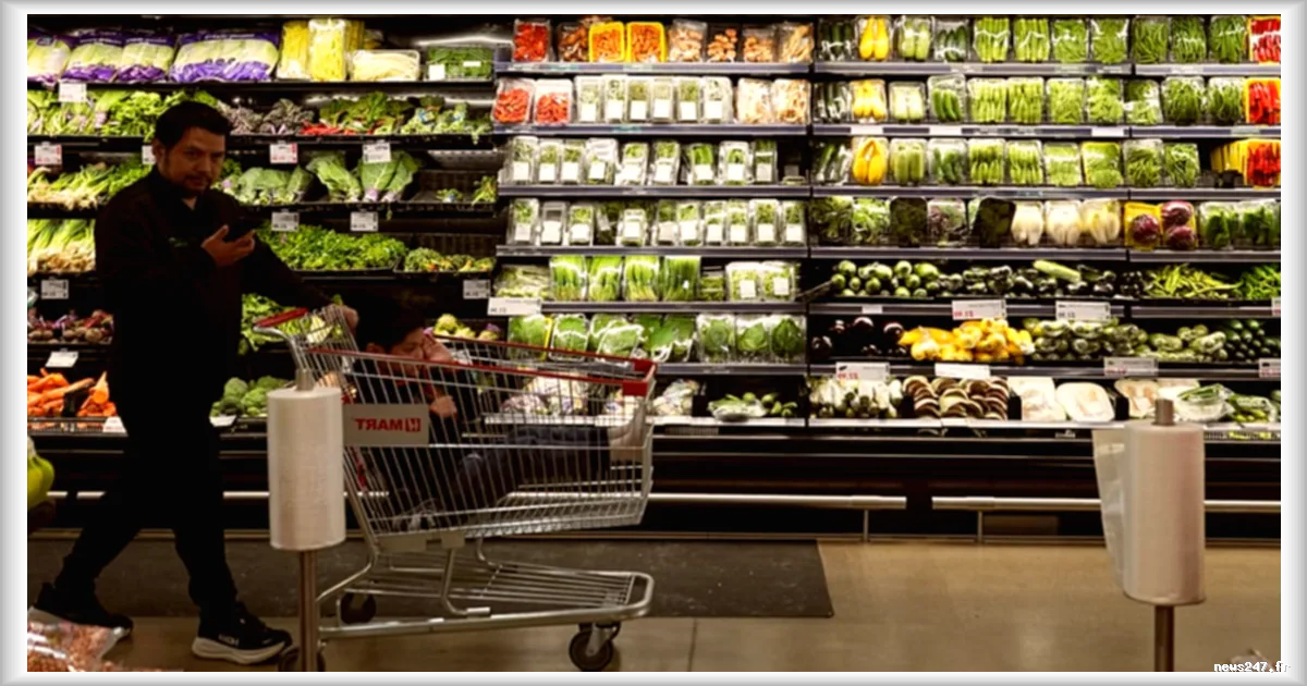 Inflation en zone euro : un reflux marqué en juin, la BCE pourrait marquer une pause