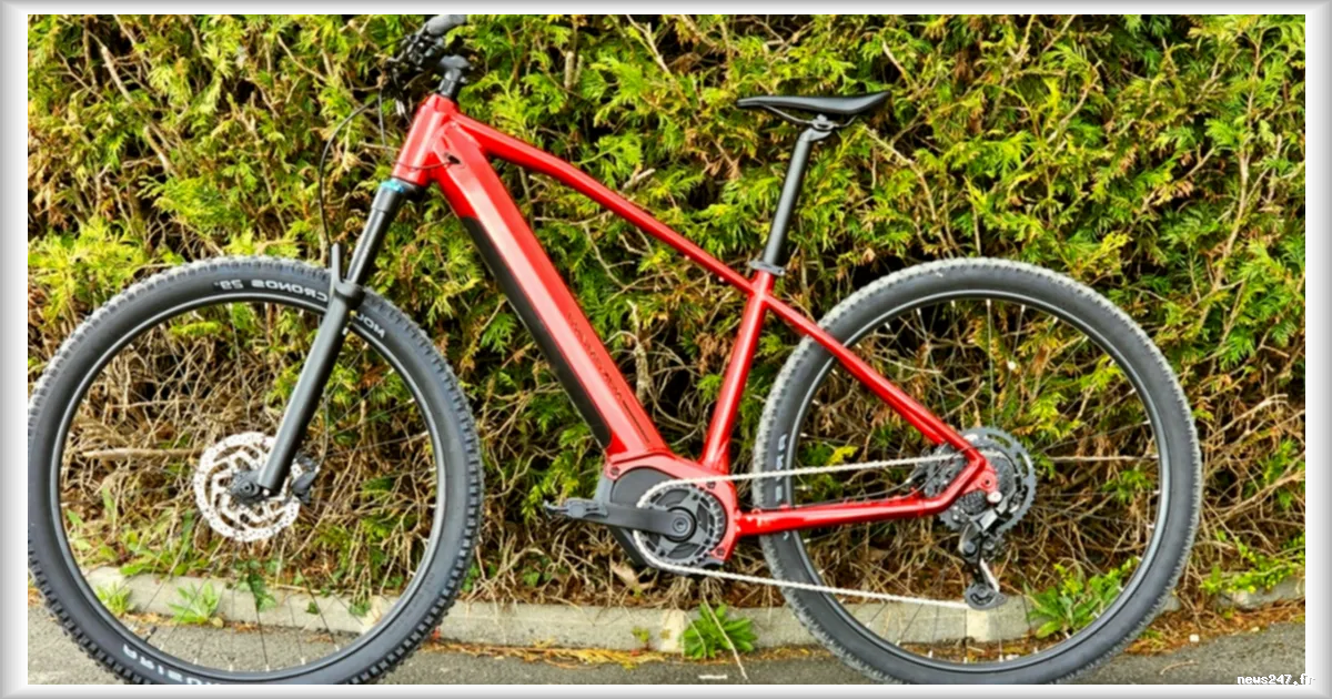 Intersport lance un nouveau VTT électrique abordable pour concurrencer Decathlon