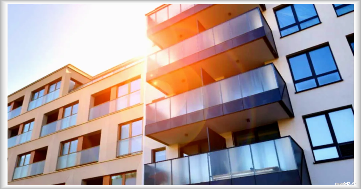 Investissement immobilier locatif : quel type de bien rapporte le plus ?