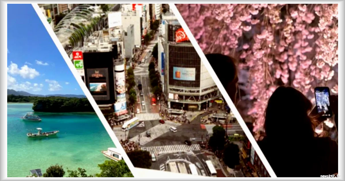 Japon : le tourisme français en hausse de 10 % malgré le recul global des visiteurs étrangers